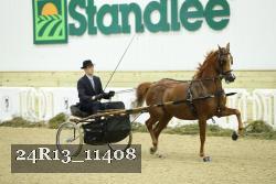 24R13_11408 thumbnail
