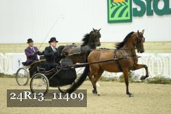 24R13_11409 thumbnail