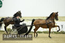 24R13_11410 thumbnail