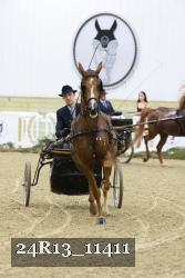 24R13_11411 thumbnail