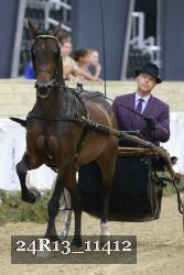 24R13_11412 thumbnail
