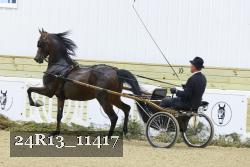 24R13_11417 thumbnail