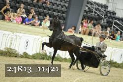 24R13_11421 thumbnail