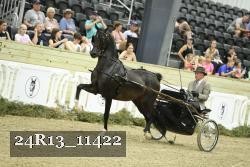 24R13_11422 thumbnail