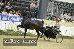 24R13_11423 thumbnail