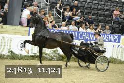 24R13_11424 thumbnail