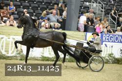 24R13_11425 thumbnail
