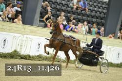 24R13_11426 thumbnail