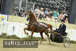 24R13_11427 thumbnail