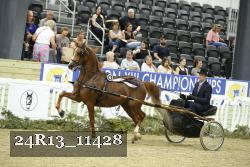 24R13_11428 thumbnail