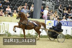 24R13_11429 thumbnail