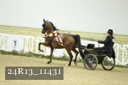 24R13_11431 thumbnail