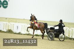 24R13_11432 thumbnail