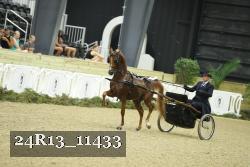 24R13_11433 thumbnail