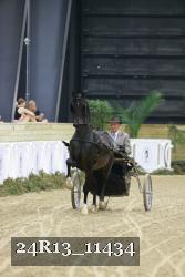 24R13_11434 thumbnail