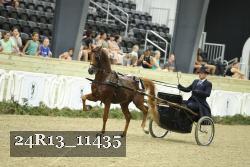 24R13_11435 thumbnail