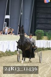 24R13_11436 thumbnail