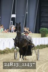 24R13_11437 thumbnail