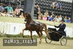 24R13_11438 thumbnail