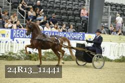 24R13_11441 thumbnail