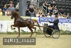 24R13_11442 thumbnail