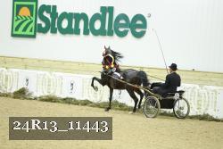 24R13_11443 thumbnail