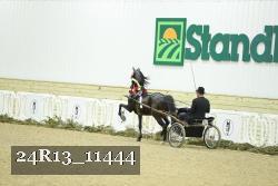 24R13_11444 thumbnail