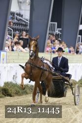 24R13_11445 thumbnail