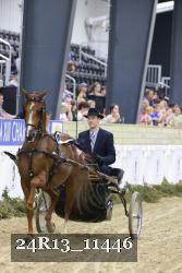 24R13_11446 thumbnail