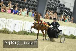 24R13_11447 thumbnail