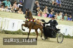 24R13_11448 thumbnail