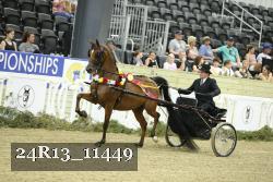 24R13_11449 thumbnail