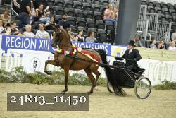 24R13_11450 thumbnail