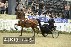 24R13_11451 thumbnail