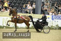 24R13_11452 thumbnail