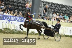 24R13_11455 thumbnail