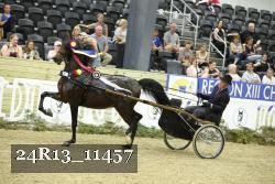 24R13_11457 thumbnail