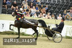 24R13_11458 thumbnail