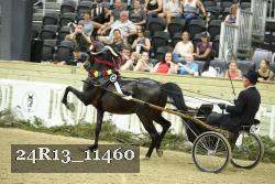 24R13_11460 thumbnail
