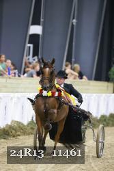24R13_11461 thumbnail