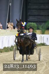 24R13_11463 thumbnail