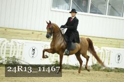 24R13_11467 thumbnail