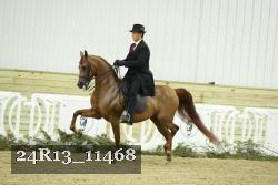 24R13_11468 thumbnail