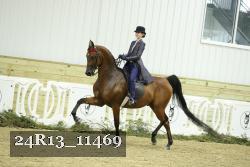 24R13_11469 thumbnail
