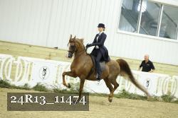 24R13_11474 thumbnail