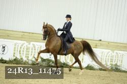24R13_11475 thumbnail