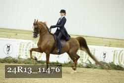 24R13_11476 thumbnail