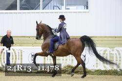 24R13_11478 thumbnail