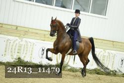 24R13_11479 thumbnail