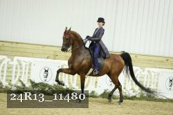 24R13_11480 thumbnail